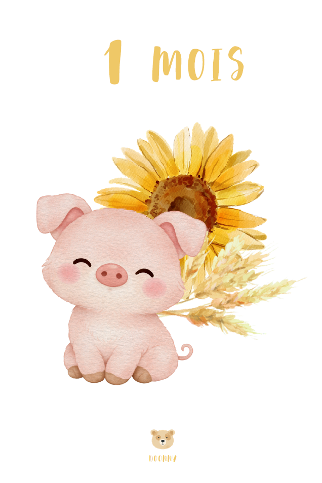 Carton du 1er mois de bébé style aquarelle, cochon devant un tournesol, illustration Doonny