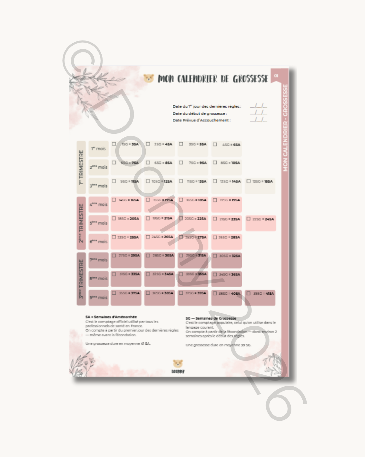 Bonus interactif Mon calendrier de grossesse, avec conversion semaines d'aménorrhée et semaines de grossesse