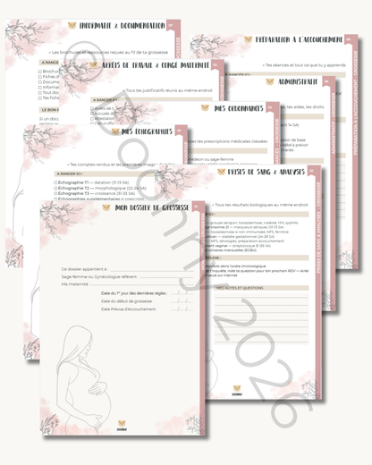 Bonus interactif Mon organisateur de dossier de grossesse : échographies, prises de sang et démarches administratives