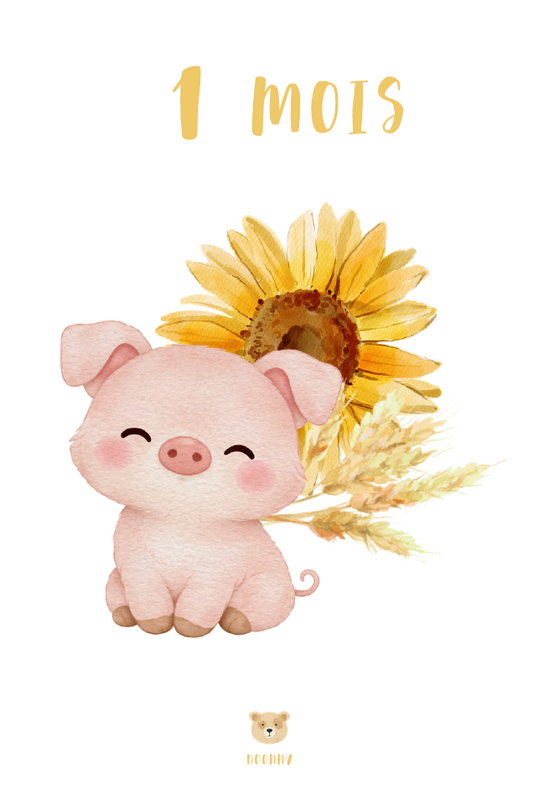 Carton du 1er mois de bébé style aquarelle, cochon devant un tournesol, illustration Doonny