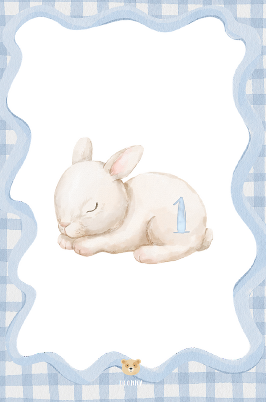 Cartons de Mois'nniversaire – Lapin vichy