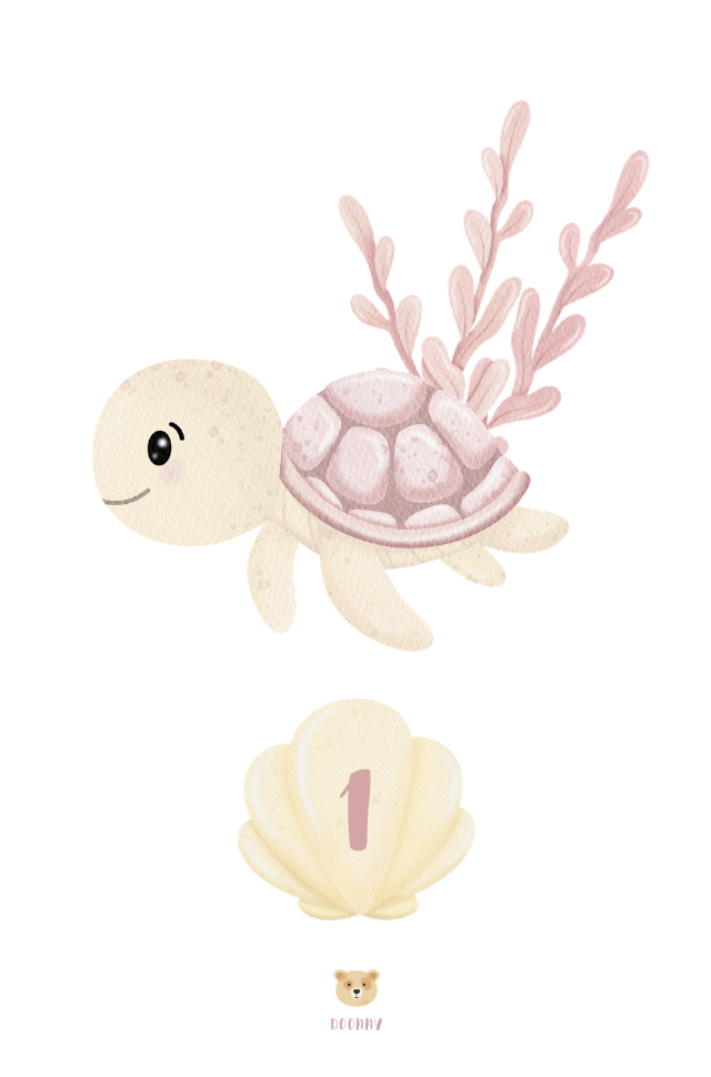 Cartons des Mois'nniversaire – Tortue